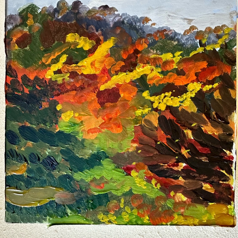 Original oil painting ‘Fall’s Dazzle’